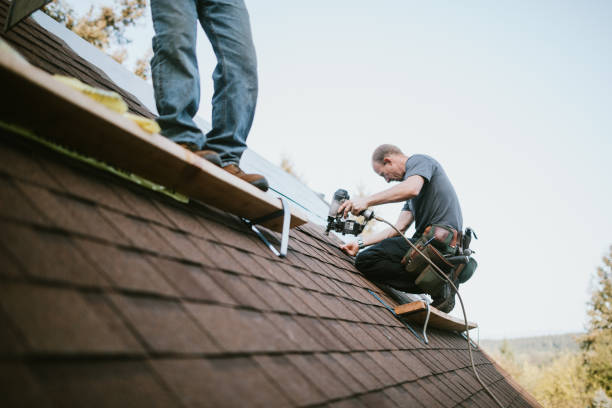 Roof Gutter Cleaning in Citrus Hills, FL
